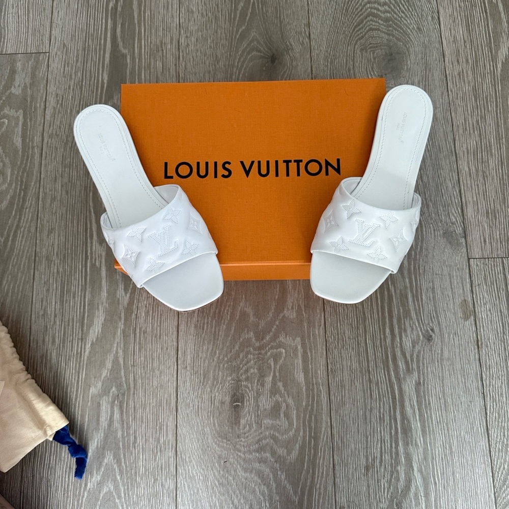 Louis Vuitton Orange Box with White Slides